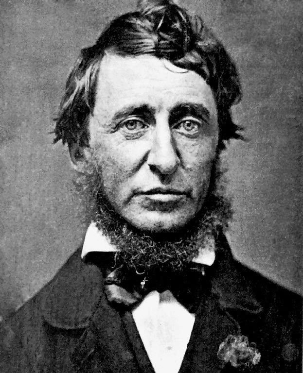 Henry David Thoreau, 1856, Gemeinfrei, https://de.wikipedia.org/wiki/Henry_David_Thoreau#/media/Datei:Henry_David_Thoreau.jpg
